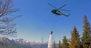 ''ბორჯომის ხეობაში ხანძრის ძირითადი კერები ლიკვიდირებულია''