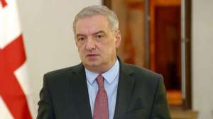 "ეს არის ინსტიტუტი, რომელიც ამზადებს საქართველოში რევოლუციურ სცენარებს, ხელს უწყობს, აფინანსებს" - ვოლსკი - მაკკეინის ინსტიტუტზე