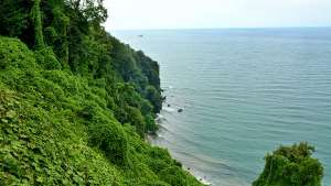 "საქართველოს შავი ზღვის აკვატორიებში წყლის ხარისხი ნორმის ფარგლებშია" - გარემოს ეროვნული სააგენტო