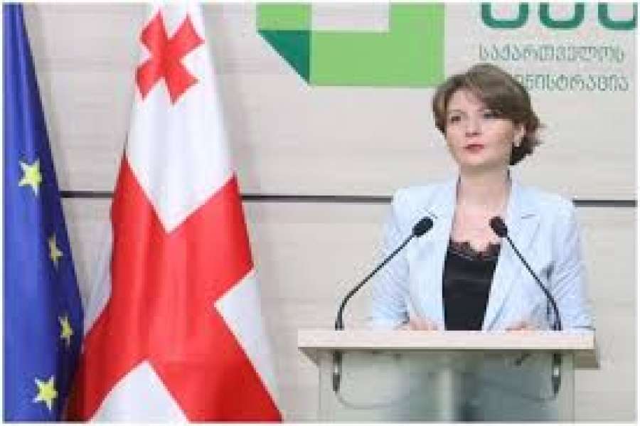 &quot;რეგისტრატორები, რომლებმაც არასწორად მოხიეს ბიულეტენები, ჩანაცვლდნენ&quot; - ანა მიქელაძე