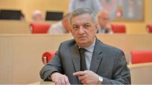 &ldquo;ანა ფოტიგას განცხადებაში არსებობს რამდენიმე განგებ დაშვებული შეცდომა&rdquo;