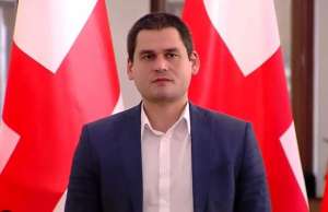 "შოვში სტიქიის შედეგებთან დაკავშირებით საგამოძიებო კომისიის შექმნას მხარს არ ვუჭერთ" - მიხეილ დაუშვილი