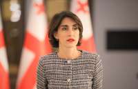 “საგარეო უწყება არ არის არც არასამთავრობო, არც საერთაშორისო ორგანიზაციის ფილიალი, რომ კონსულტაციები გავიაროთ ვინმესთან, როგორი ტიპის უწყება გვჭირდება ეროვნული ინტერესების ეფექტიანად განხორციელებისთვის” - მაკა ბოჭორიშვილი