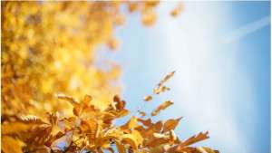 უახლოეს დღეებში საქართველოში თბილი და უნალექო ამინდი იქნება შენარჩუნებული