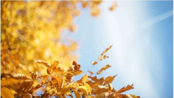 უახლოეს დღეებში საქართველოში თბილი და უნალექო ამინდი იქნება შენარჩუნებული