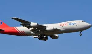 ავიაკომპანია &bdquo;ჯეო სქაის&ldquo; 20 თანამშრომელი საქართველოში დაბრუნდა