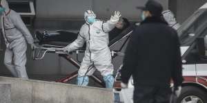 კორონავირუსის წარმომავლობის შესახებ ახალი ინფორმაცია ვრცელდება