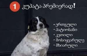 ანა დოლიძემ პრემიერად "კუპატა" წარმოადგინა