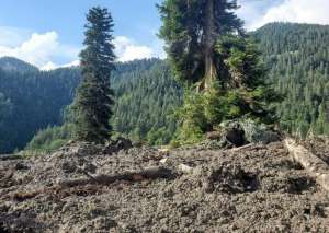 შსს შოვში, სტიქიის ზონაში მიმდინარე სამაშველო ღონისძიებების შესახებ განცხადებას ავრცელებს