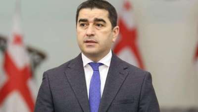 "ევროპარლამენტში დებატებზე სააკაშვილის განაჩენის კანონიერება კითხვის ქვეშ არავის დაუყენებია"