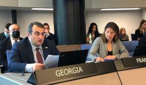 ევროპის საბჭოს მინისტრთა მოადგილეებმა გენერალური მდივნის 25-ე ანგარიში &bdquo;კონფლიქტი საქართველოში&ldquo; განიხილეს, რომელიც საქართველოს ოკუპირებულ რეგიონებში ვითარებას აღწერს