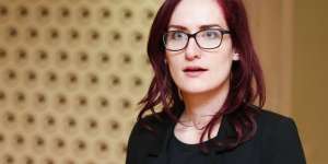 საქართველოს მთავრობავ, ეს ეხება ბავშვებს და არა პოლიტიკას - ევროპარლამენტარი