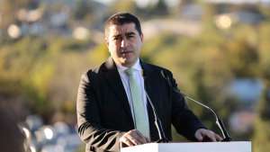 ,,არავითარი მნიშვნელობა ამ რადიკალური ჯგუფების პარლამენტში ყოფნას არ აქვს"- შალვა პაპუაშვილი