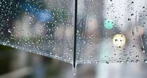 როგორი ამინდია მოსალოდნელი საქართველოში