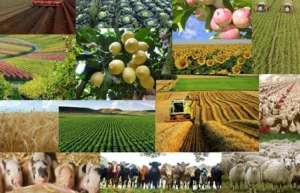 სოფლის მეურნეობის წილი ეკონომიკაში 10-წლიან მინიმუმზეა