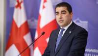 “ლარი, როგორც ფულადი ნომინალი, არ უნდა გაჩერდეს მან უნდა გააგრძელოს განვითარება” - შალვა პაპუაშვილი
