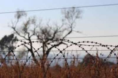 ოკუპანტებმა საქართველოს მოქალაქე დააკავეს