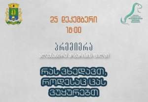 25 დეკემბერს კინოთეატრ  „საქართველოში“ ალექსანდრე  კობერიძის ფილმის პრემიერა გაიმართება