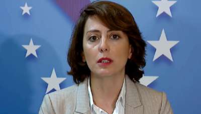 "ერთხელ და სამუდამოდ მანდატების დატოვებასა და ბოიკოტზე საუბარი უნდა დასრულდეს, მრცხვენია ჩვენი ამომრჩევლის"