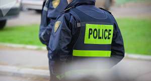 უცხო ქვეყნის 31 მოქალაქე დააკავეს