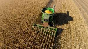 რუსეთის მიერ "მარცვლეულის შეთანხმების" შეჩერებას ხორბლის გაძვირება მოჰყვა