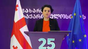 "ცესკო, პროკურატურა და სასამართლო ორგანიზებულად ცდილობენ გადამწყვეტი მტკიცებულებების განადგურებას" - ნათია მეზვრიშვილი