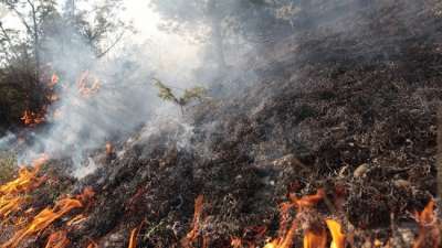 ოკუპირებულ გალში ხანძრის გამო ადგილობრივი მოსახლეობის ევაკუირების გადაწყვეტილება მიიღეს