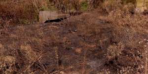 "ტერიტორია, სადაც შაქარაშვილის საქმის მთავარი მოწმე იმალებოდა, დამწვარია" - ადვოკატი გიორგი გელხაური