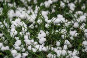 ახალციხის 6 სოფელი ძლიერმა სეტყვამ დააზარალა