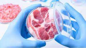 საეჭვო ადგილებში ხორცის შეძენისაგან თავი შეიკავეთ - სეს-ი