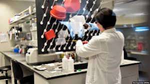 კიბერთავდასხმა ლუგარის ლაბორატორიაზე - &ldquo;ეს დივერსიისთვის მომზადებას ჰგავს და მგონია რაღაცა უფრო ცუდს აპირებენ&rdquo;