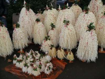 კალანდობა გურიაში