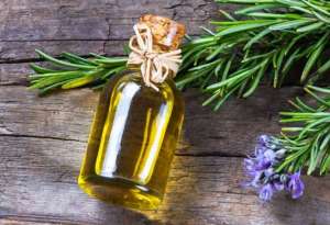 "ახალგაზრდობის ელექსირი" - რა დადებითი თვისებები აქვს როზმარინის ზეთს და რისთვის შეგვიძლია მისი გამოყენება