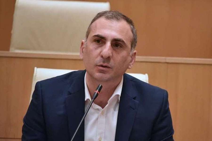 &quot;თამარ ჟვანია ავტომატურად წავა, ჟვანია ულუ და ჟვანია ნარინი ვერ გვეყოლება&quot;