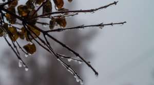 როგორი ამინდია მოსალოდნელი საქართველოში