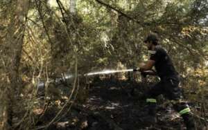 საგანგებო სიტუაციების მართვის სამსახური - ბორჯომში ხანძრის ყველა კერა ლიკვიდირებულია