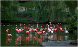 "მიუხედავად 3 წლის ცილისწამებისა, სიმართლემ მაინც გაიმარჯვა" - გიორგი გახარია დენდროლოგიურ პარკზე