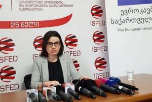 "მიხეილ სააკაშვილს საარჩევნო კამპანიაში მონაწილეობა ეკრძალება" - ელენე ნიჟარაძე