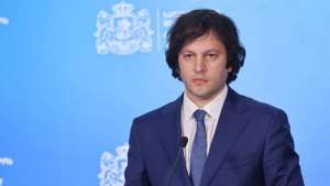 ,,თუ ვინმე ახალისებს ამ ქვეყანაში ძალადობას, ესენი არიან კონკრეტული ჩინოვნიკები, ე.წ. დიპლომატები, დიფ სთეითის წარმომადგენლები სხვადასხვა სტრუქტურებში"- ირაკლი კობახიძე