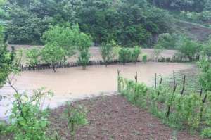 ძლიერმა წვიმამ ხარაგაულის მუნიციპალიტეტში პრობლემები შექმნა