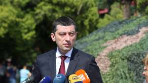 "გახარიამ მაისს არ უნდა გადააცილოს, პოლიტიკაში საჭიროა დროზე მოსვლა"