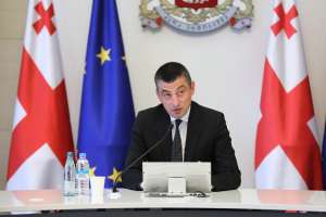 "არასოდეს შევეგუებით ოკუპაციას, ჩვენ ამ გამოწვევის გადაჭრის მშვიდობიან გზაზე ვდგავართ"