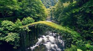 მუზეუმებსა და ნაკრძალებში ვიზიტორთა დაშვება დროებით იზღუდება