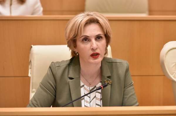 “ძალიან დიდი სირცხვილია ევროკავშირის წარმომადგენლობისათვის ისეთი ვიდეოს დაფინანსება, რომელიც აღვივებს ხალხში აგრესიას, ძალადობისკენ მისწრაფებას და ხელს უწყობს პოლარიზაციას” - ეკა სეფაშვილი