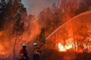 გახშირებული ხანძრები - საგანგებო სიტუაციების მართვის სამსახურის განცხადება