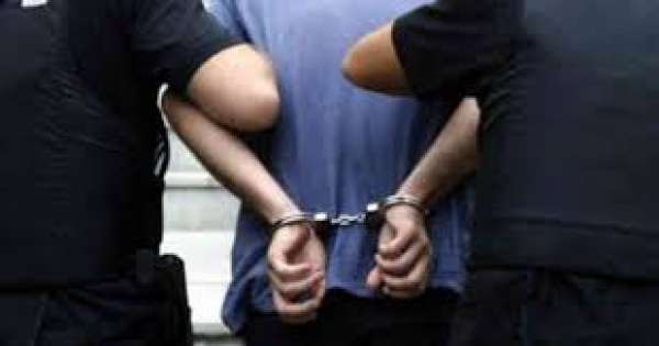 დაკავებულია სხვადასხვა ნეონაცისტური დაჯგუფებისა და ფაშისტური იდეოლოგიის მხარდამჭერი 13 პირი-შსს