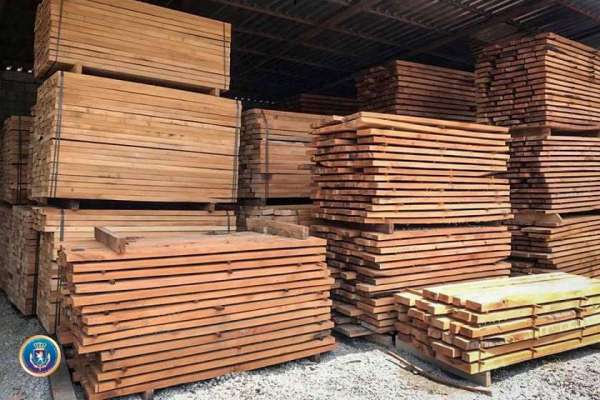 იმერეთში 17 კუბურ მეტრამდე უკანონოდ მოპოვებული მერქანი ამოიღეს