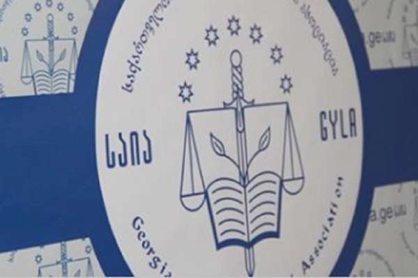 ,,2025 წელი შეზღუდული თავისუფლების წელია&quot;– საია