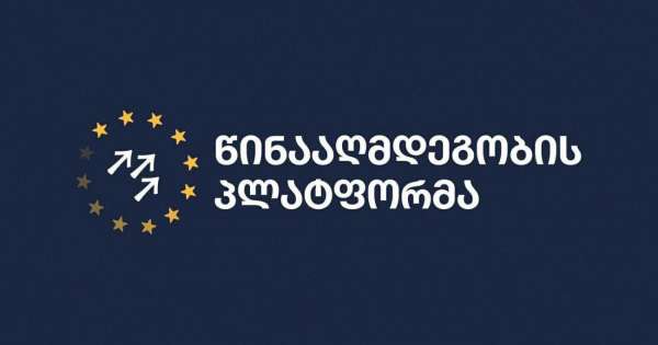 პლატფორმა: ძალა, რომელიც პროვოკაციებს აწყობს მოქალაქეების წინააღმდეგ ივანიშვილის რეჟიმია