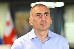 ალეკო ელისაშვილი გირაოს სანაცვლოდ გაათავისუფლეს